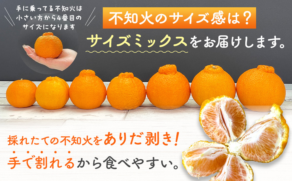 不知火 訳あり それでも 有田の不知火 箱込 5kg(内容量約 4.4kg) サイズミックス 和歌山県産 産地直送［みかんの会］