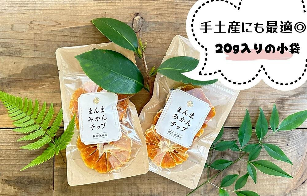 ドライフルーツ みかんチップ 100g ( 20g × 5袋 ) 和歌山県産 果物使用 自社製造 【みかんの会】