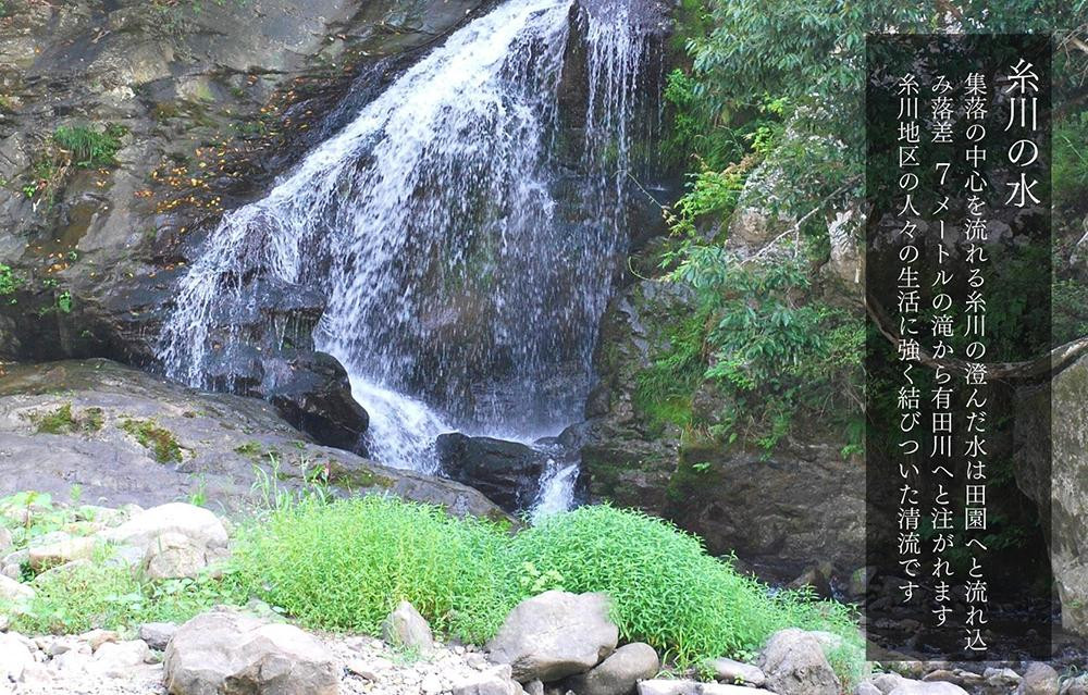 お米 10kg (5kg×2袋) 思いを繋ぐ糸川のお米 結意米 【ゆいまい】和歌山県産 【みかんの会】