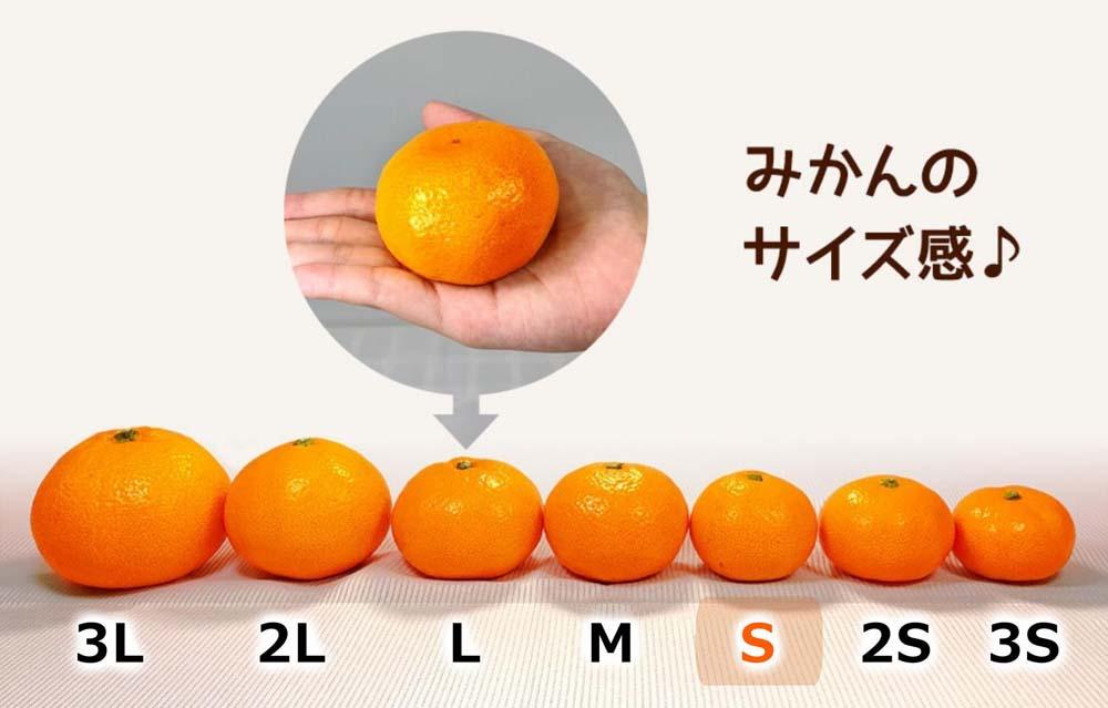 みかん Sサイズ 秀品 箱込 2.5kg (内容量約 2.3kg) 有田みかん 和歌山県産 産地直送 贈答用 ［2026年11月中旬より順次出荷予定］［みかんの会］
