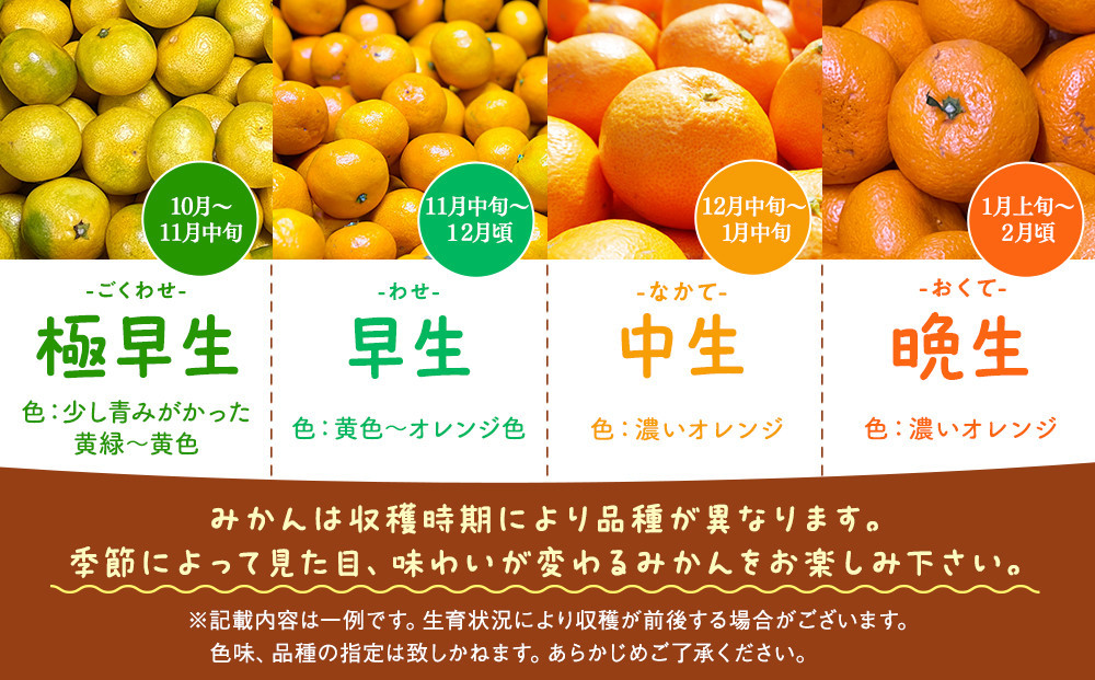 訳あり それでも 有田みかん 箱込 10kg (内容量約 9.2kg)  サイズミックス B品 有田みかん 和歌山県産 産地直送 家庭用［2025年11月中旬より2026年1月中旬頃順次出荷予定］［みかんの会］