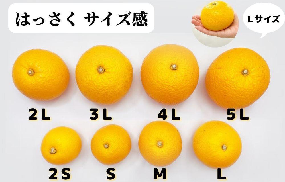 八朔 (はっさく) とにかく 小玉 箱込 5kg(内容量約 4.4kg) 秀品 優品 混合 Sサイズ以下 和歌山県産  産地直送［おまけ付き］［みかんの会］