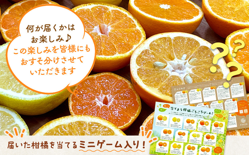 旬の柑橘食べ比べ 柑橘ごろごろ 3種 箱込 5kg(内容量約 4.4kg) 秀品 優品 混合 和歌山県産 産地直送 【おまけ付き】【みかんの会】