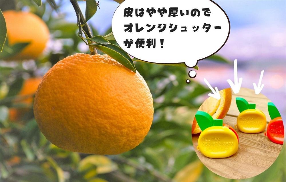 訳あり それでも 甘夏 箱込 2.5kg (内容量約 2.3kg)  サイズミックス 産地直送 家庭用 皮むき器付き［みかんの会］