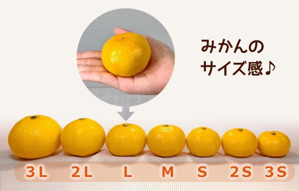 訳あり ゆら早生 みかん 箱込10kg(内容量 9.2kg)サイズミックス 有田みかん 和歌山県産 【みかんの会】［2026年10月下旬頃より順次発送予定］