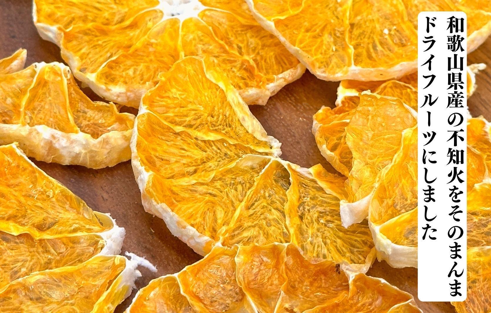 【母の日ギフト】しらぬい ドライフルーツ まんま不知火チップ 100g ( 20g × 5袋 )  和歌山県産 果物使用 国内製造 【みかんの会】