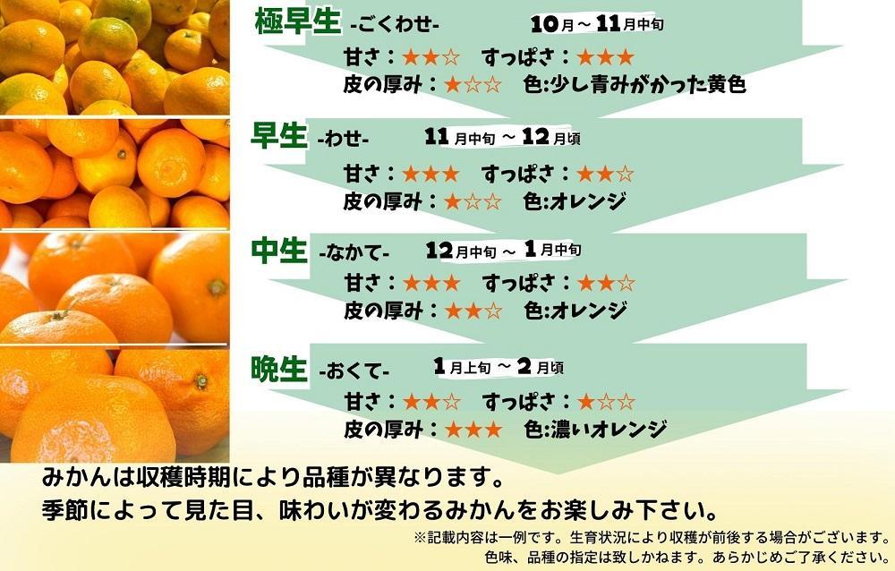 みかん 極早生 箱込 7.5kg (内容量約 6.8kg)  S/M/Lサイズのいずれか 秀品 優品 混合 有田みかん 和歌山県産 【みかんの会】［2026年10月上旬頃より順次発送予定］