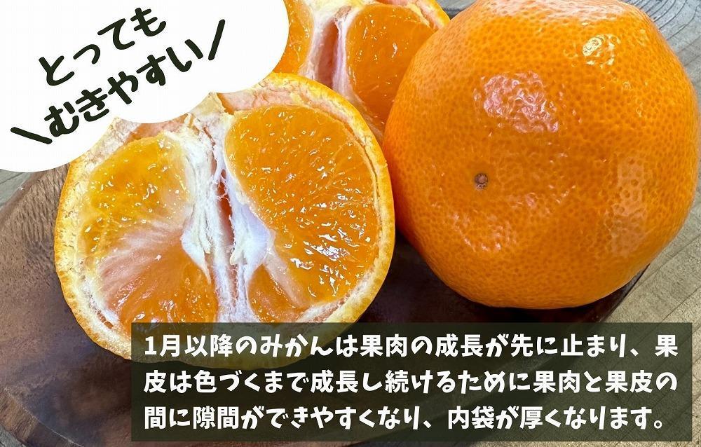 ［先行予約］熟成 みかん とにかく 小玉 箱込10kg ( 内容量 9.2kg ) 2Sサイズ以下 秀品 優品 混合 有田みかん 和歌山産 産地直送 家庭用 【みかんの会】
