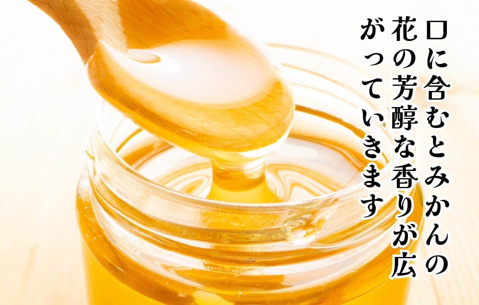 はちみつ 有田のみかん蜂蜜 210g 和歌山県産 産地直送 【みかんの会】