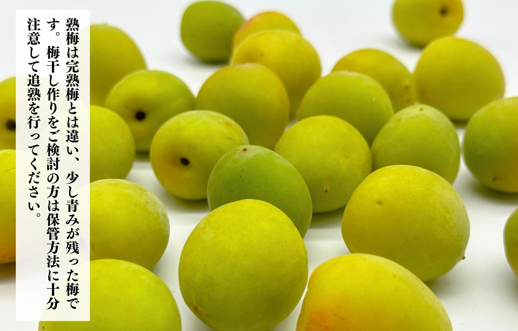 熟梅 南高梅 3kg 秀品 3Lまたは2Lサイズ 和歌山県産 A品 梅干し作り用 梅ジャム作り用