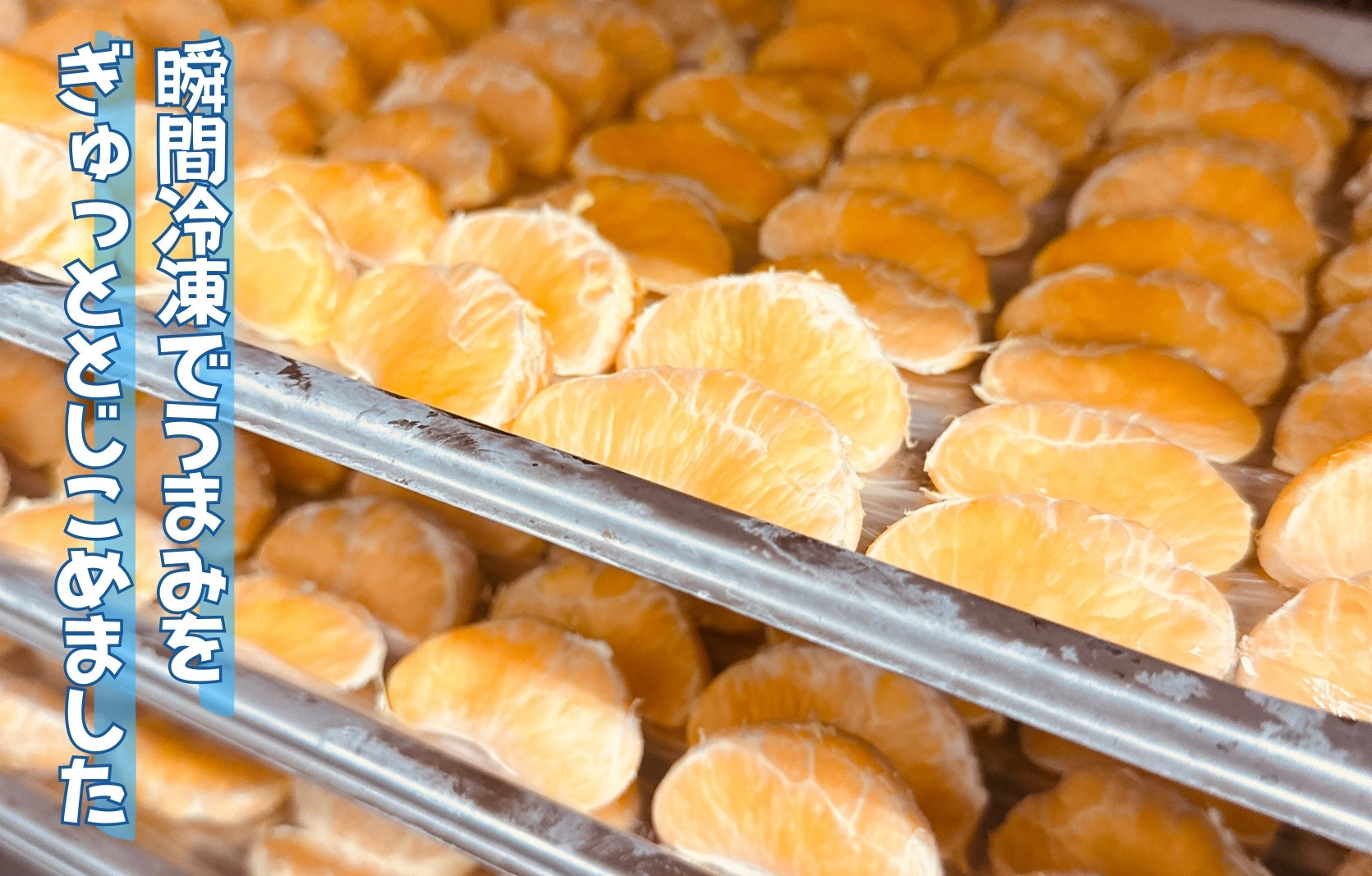 冷凍 不知火 （しらぬい） 70g × 5袋 ひとくちデザート カチウマ スイーツ 果物 旬の味わい 和歌山県産不知火100%