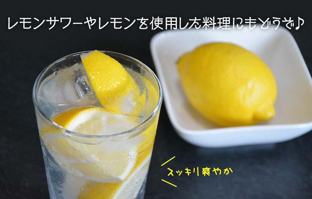 訳あり レモン B品  箱込5kg(内容量約4.4kg) 和歌山県有田産（サイズミックス）【みかんの会】