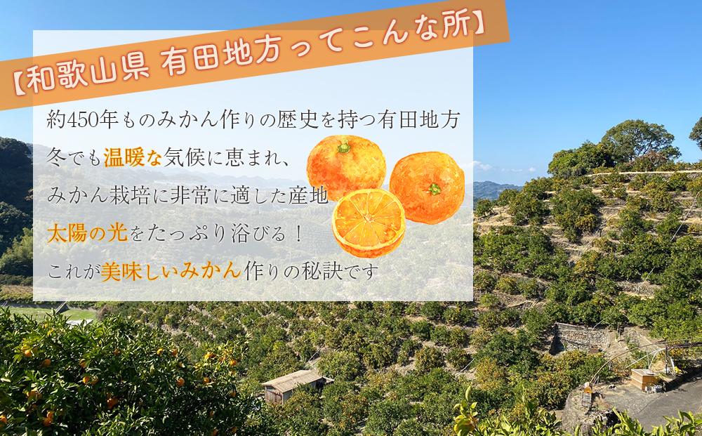 【先行受付】 武内園 和歌山県産 有田みかん 特選 秀品 5kg   完熟 光センサー