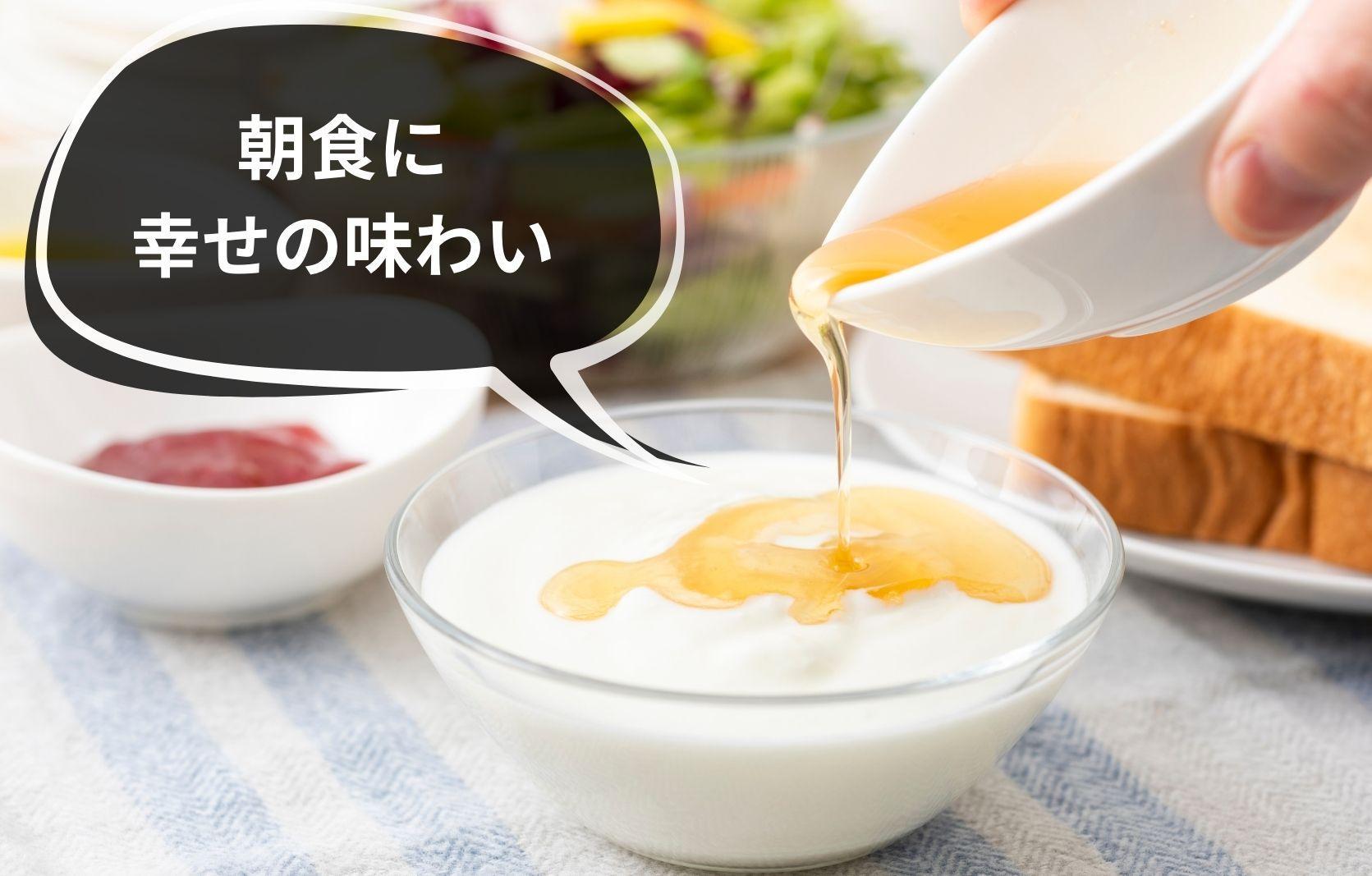 ありだ里山の蜂蜜 570g 化粧箱入り