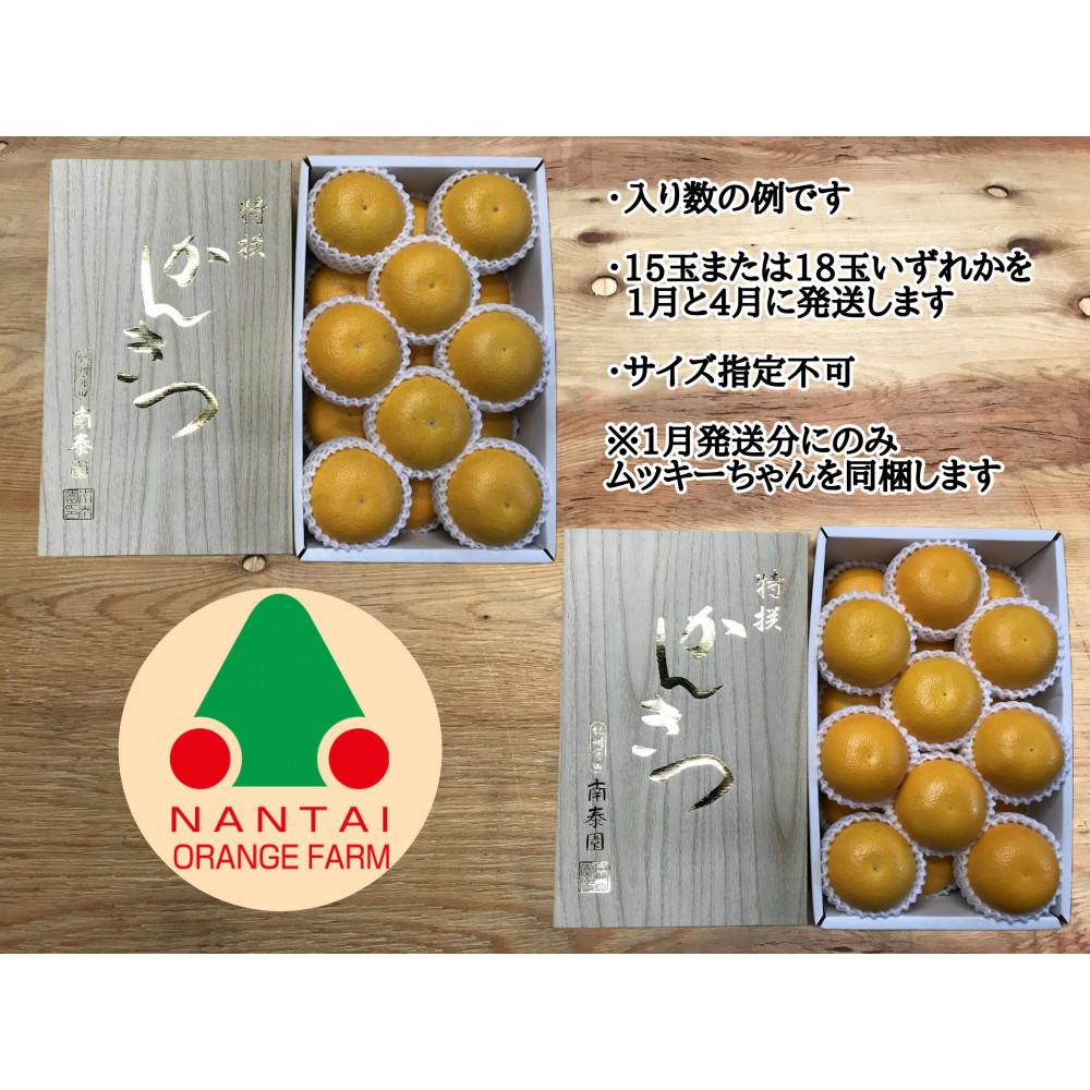 【ANA限定】1・4月発送 全2回 定期便 はっさく マニア 貯蔵 ＆ 木成完熟  特秀 15 または 18玉  2段詰 和歌山 有田 南泰園