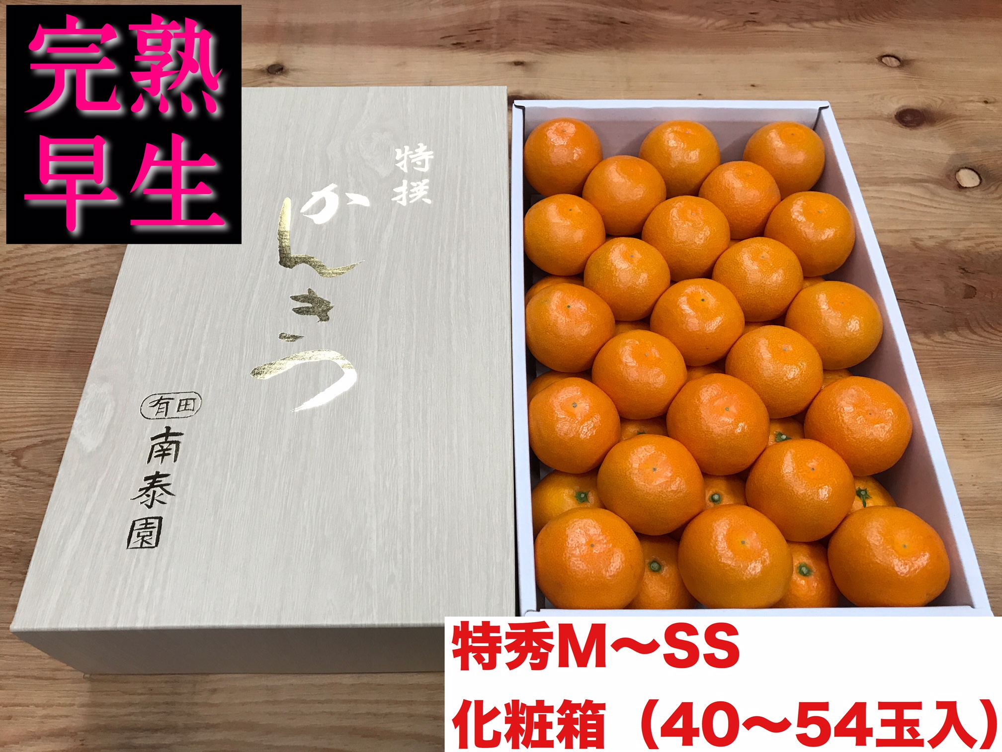 頒布会 有田かんきつ 定期便 7ヶ月間 南泰園 みかん