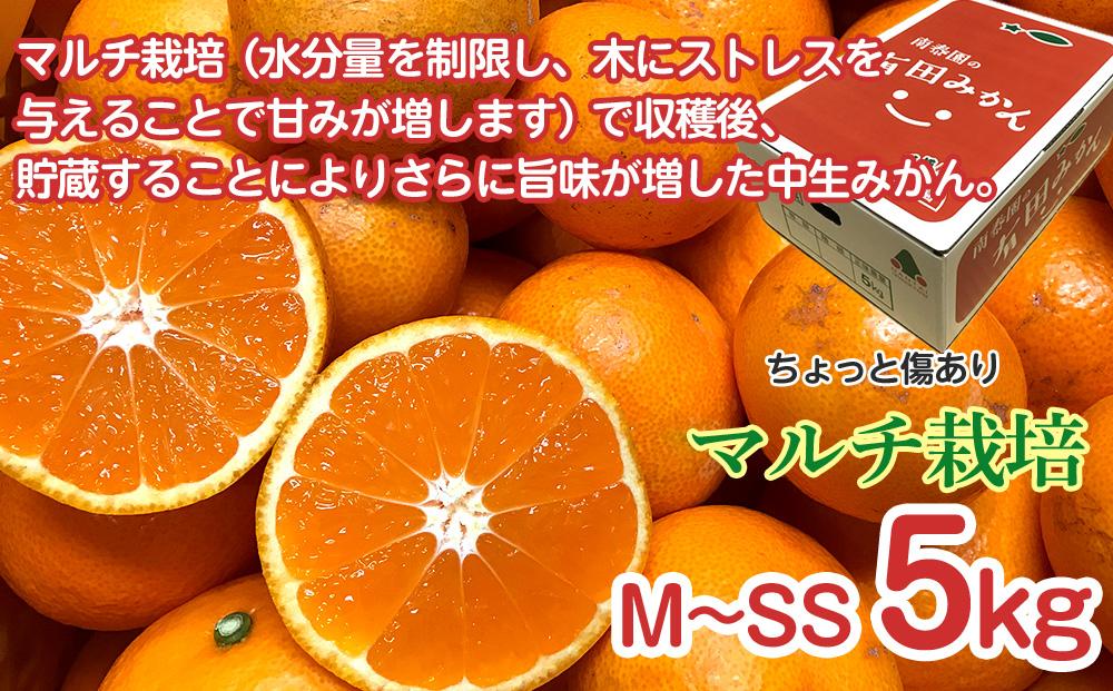 定期便 ちょっと 傷あり 5kg ×3 回 コース 有田みかん 食べくらべ 3種 全3回 南泰園 みかん