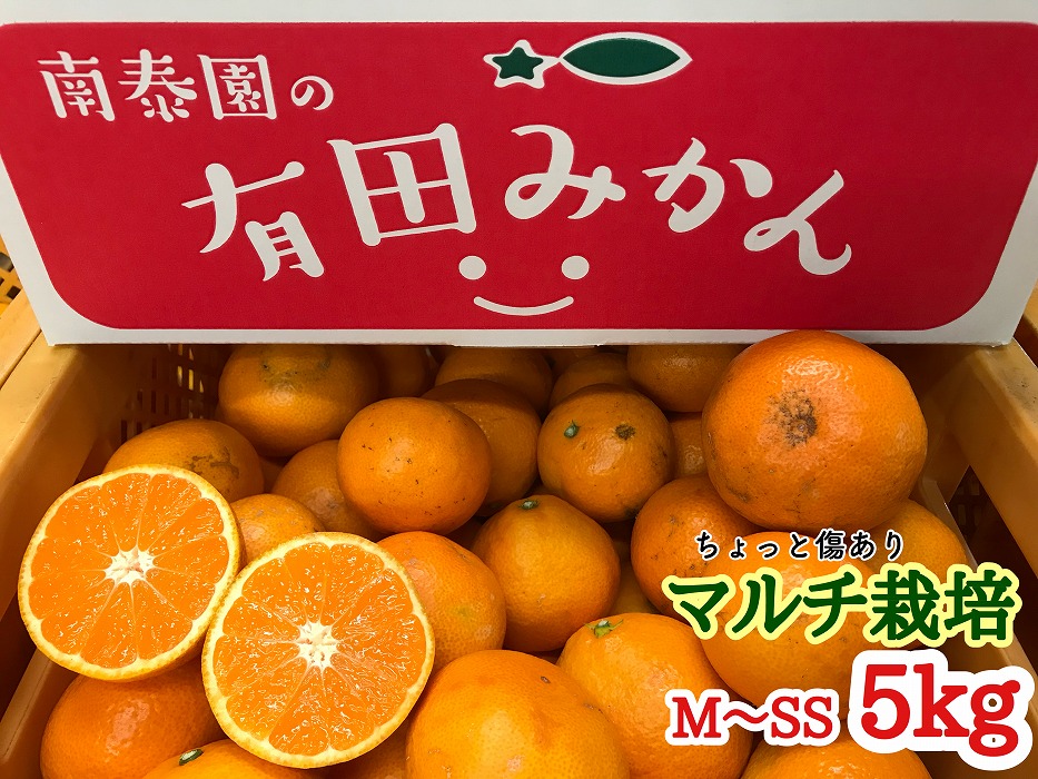 定期便 先行受付 2025年 10月発送スタート 有田みかん 食べくらべ 3種 ちょっと傷あり 5kg × 3回 コース 南泰園