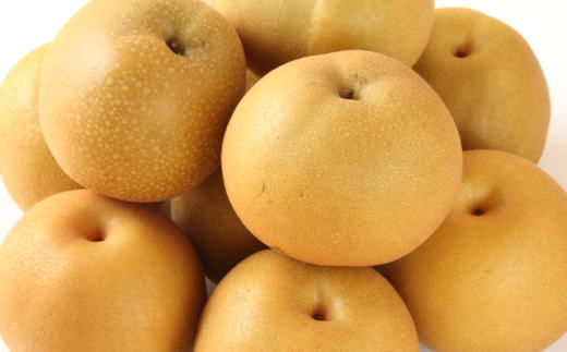 [厳選・産直]有田産の梨(幸水)約4kg★2026年8月頃より順次発送