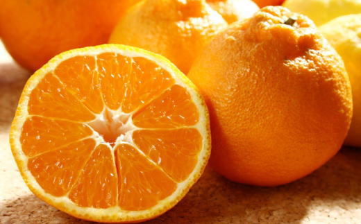 ［濃厚］有田の不知火約4kg（10～18玉）★2026年2月中旬頃より順次発送［TM29w］