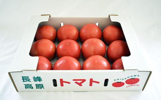 長峰高原 有田産 桃太郎トマト 約3kg ★2025年8月より順次発送 有田川町