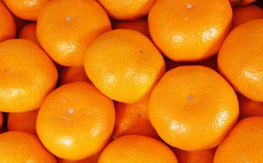 [秀品]有田のブランド「賢みかん」10kg(2Lサイズ)【2025年11月中旬頃より順次発送】