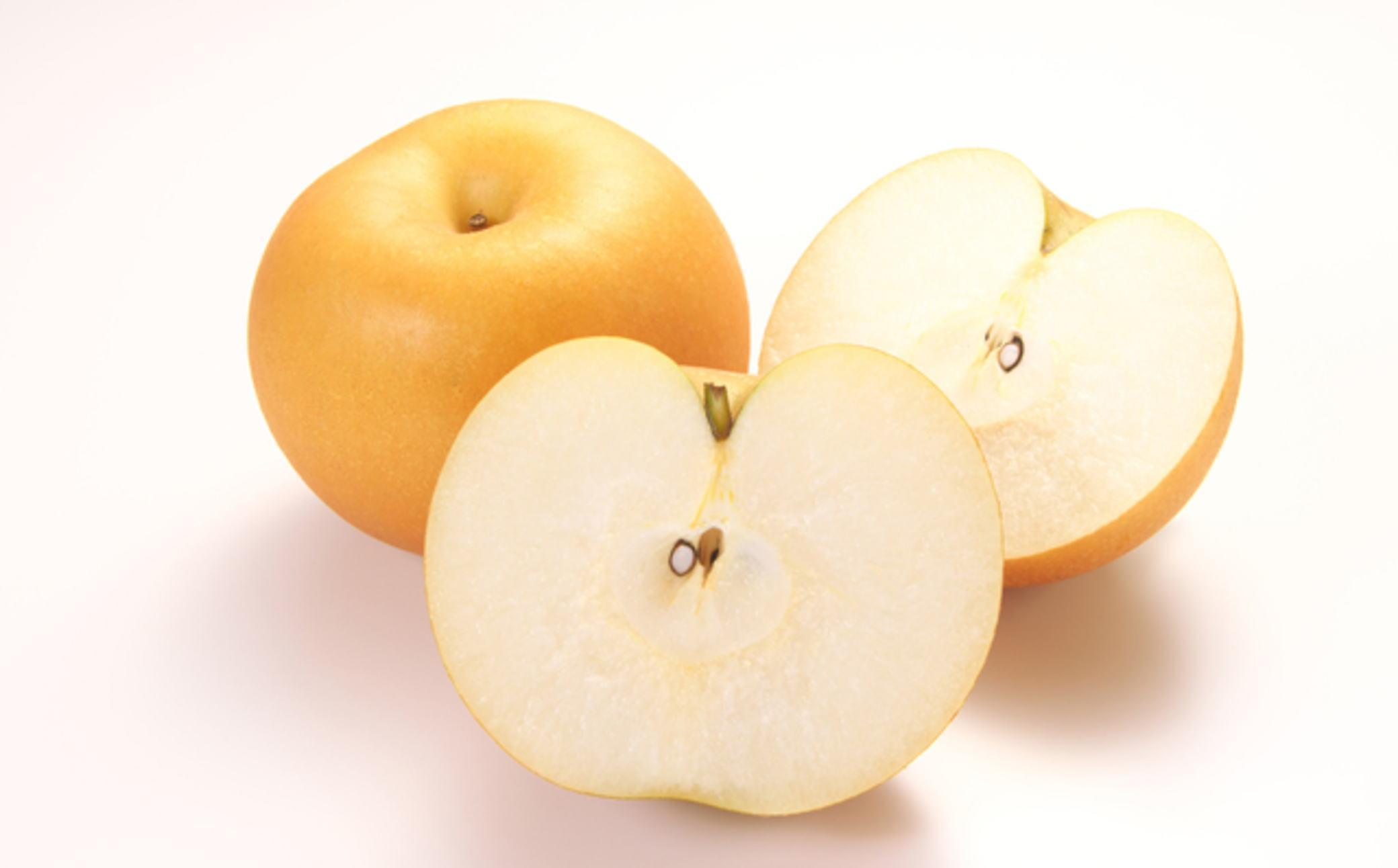 【産直】和歌山有田産の梨約2kg（品種おまかせ）★2026年8月上旬頃より順次発送