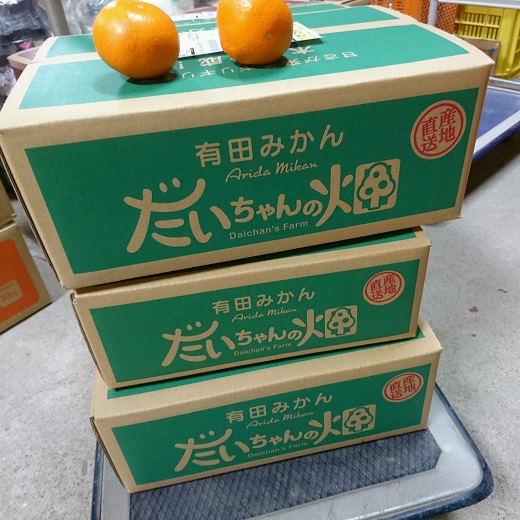【ご家庭用】有田みかん  3kg （Ｓ～2Ｌサイズミックス）木成り完熟 大ちゃんの畑農園