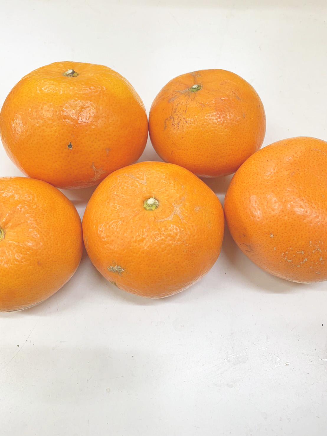 麗紅柑（れいこう）青秀品（家庭用）2S～3Lサイズ 3kg