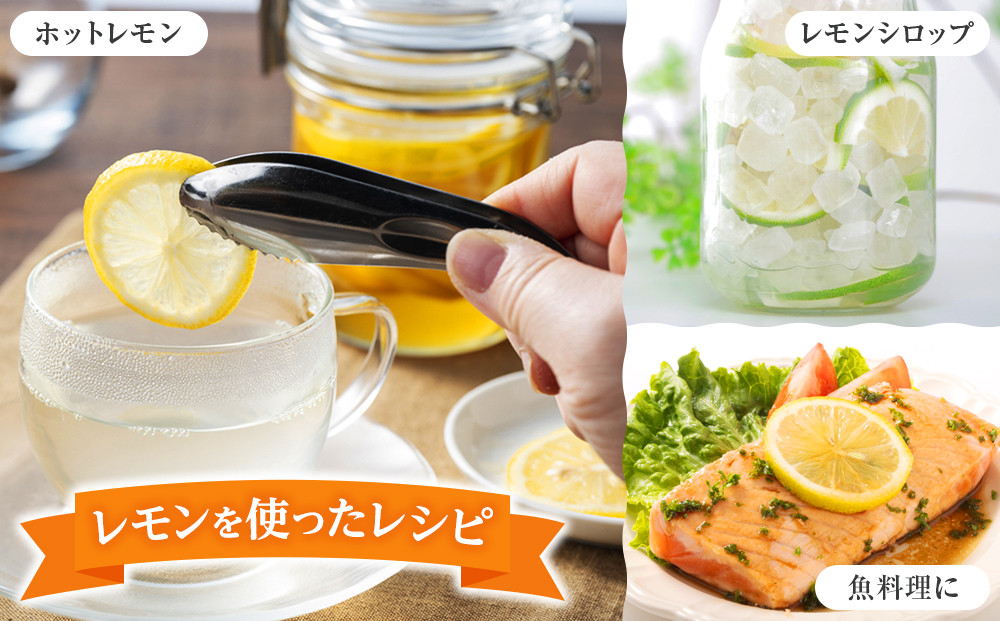 【有田川町】レモン 和歌山県産 訳あり 国産レモン1.5kg