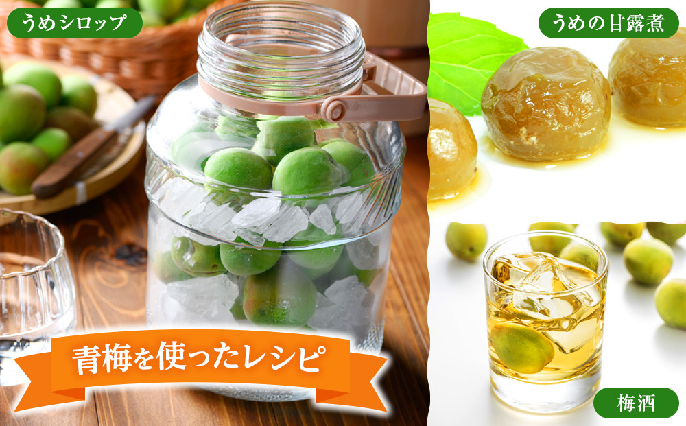 青梅 3kg 訳あり 紀州南高梅 シロップ・梅酒・梅干し用など 和歌山県有田産 2026年5月下旬～7月上旬発送予定