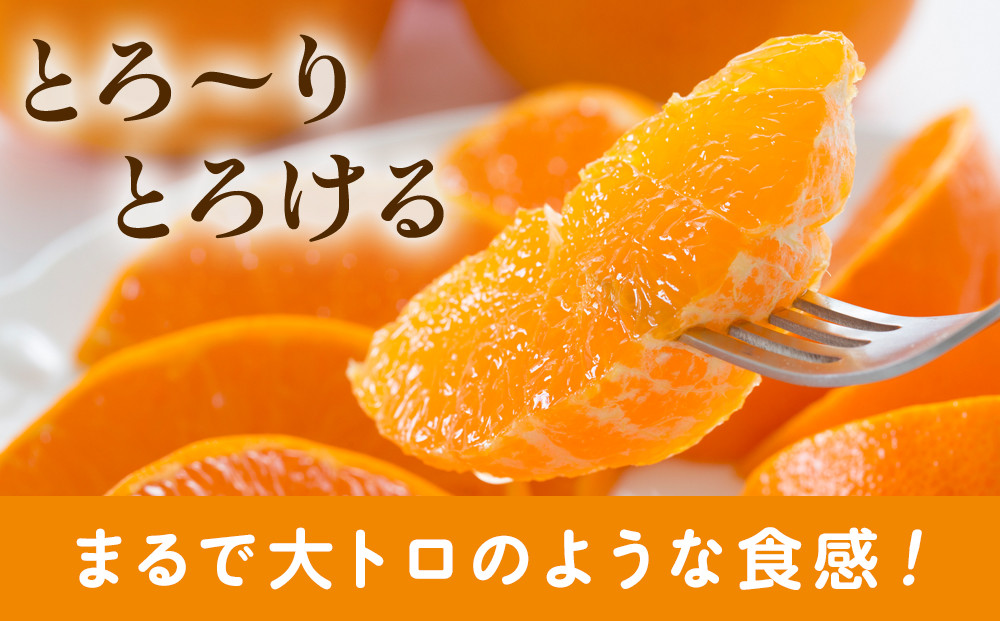 ［先行予約］家庭用 せとか5kg+250g（傷み補償分）［柑橘・春みかんの王様］［わけあり・訳あり］［光センサー選果・食べ頃出荷］［IKE63w］