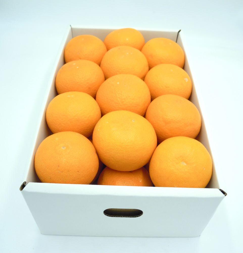 田口の清見オレンジ 秀品 約5kg L～3L（30玉～18玉） サイズおまかせ 化粧箱入り【2026年2月26日～2026年3月31日頃より順次発送】