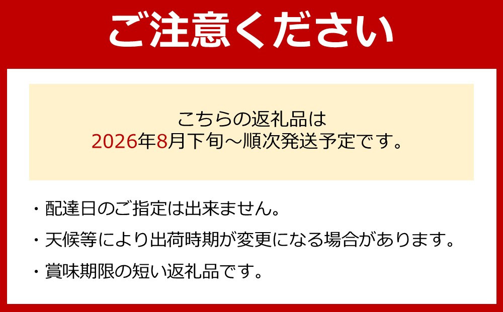 ［先行予約］和歌山 有田産 種なし BKシードレス 約1kg 2～3房 ［2026年8月下旬より順次発送予定］
