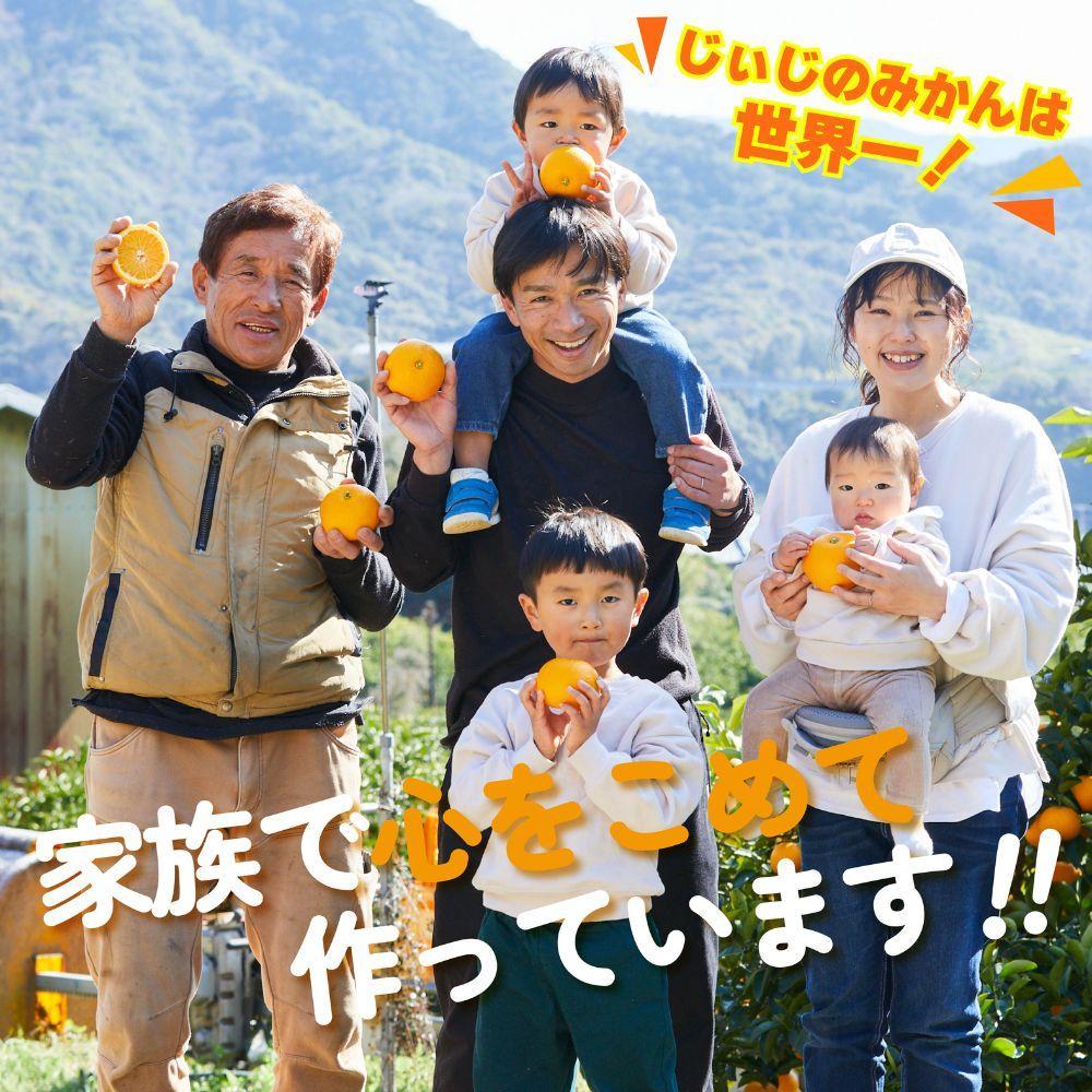 本場有田みかん じぃじのみかん10kg