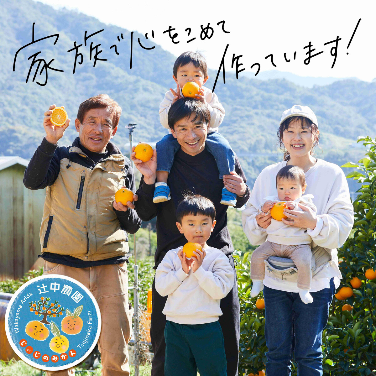 和歌山県有田みかん じぃじのみかん 約5kg