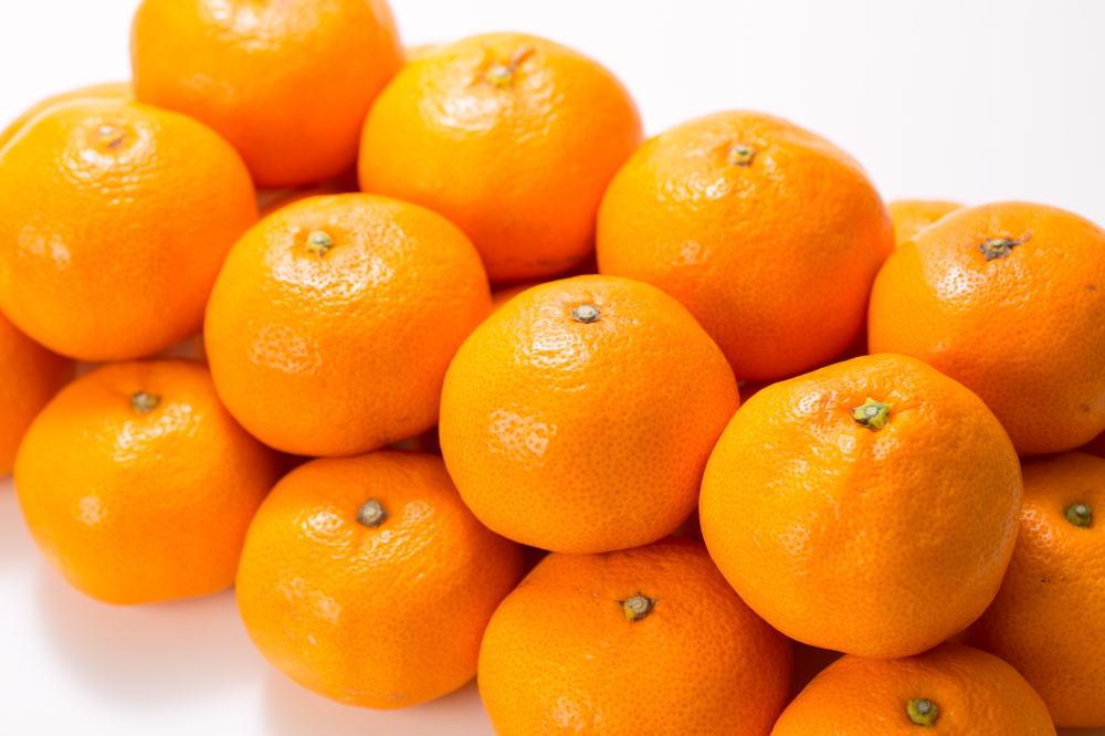 ブランド有田みかん 秀品 5kg［サイズおまかせ］／産地直送／薄皮で甘い美味しい和歌山県産／紀伊国屋文左衛門本舗