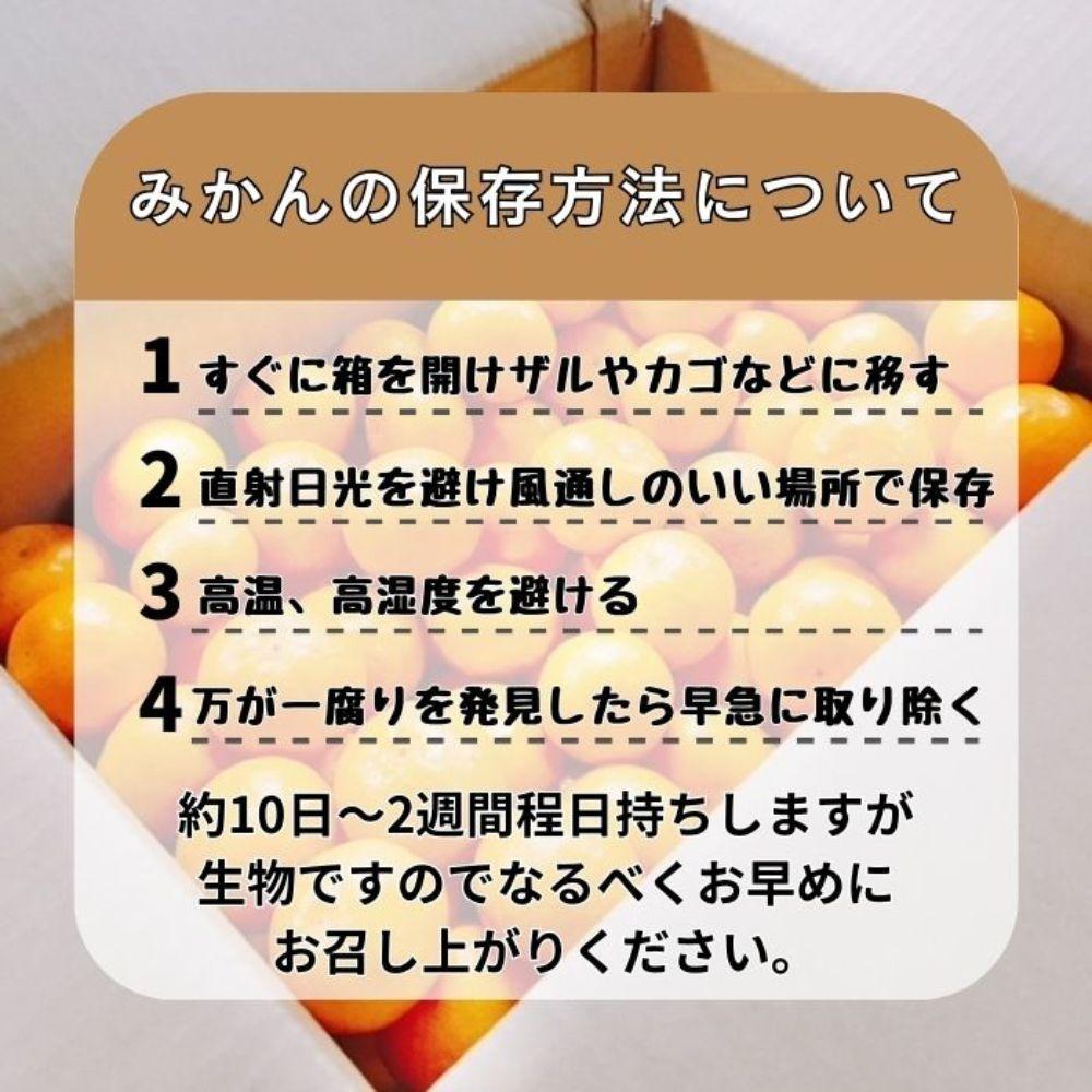 有田みかん 早生S〜Lサイズ混合 約20kg