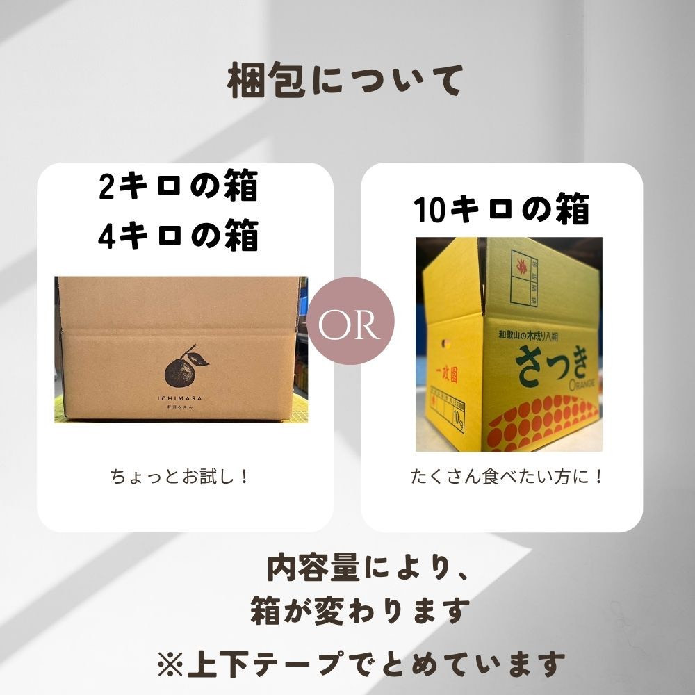 【ふるさと納税】【先行予約】 八朔 10kg 家庭用 サイズ混合 柑橘 フルーツ はっさく 産地直送 お取り寄せ 送料無料