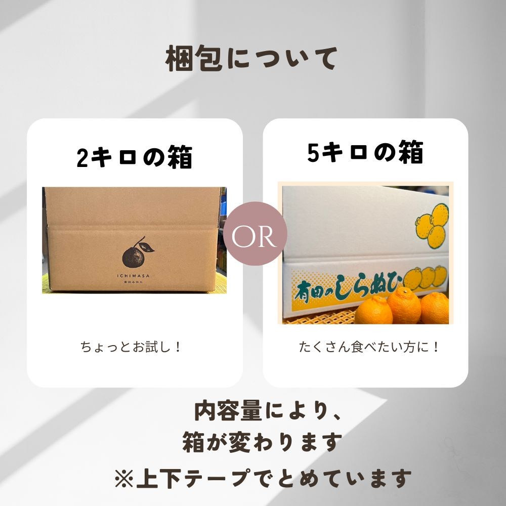 【ふるさと納税】【先行予約】 不知火 5kg 家庭用 サイズ混合 柑橘 フルーツ  産地直送 お取り寄せ 送料無料