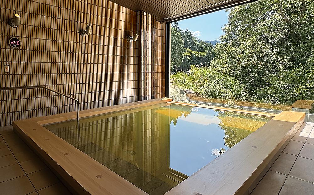 歴史ロマンの湯 しみず温泉 大人 入館券 11回分 入浴チケット 温泉利用券 観光 日帰り