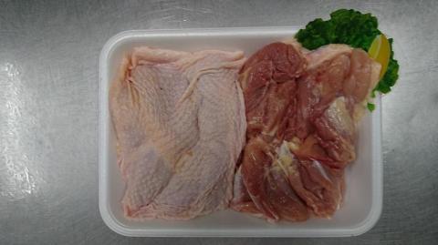 紀の国みかんどり　一匹セット