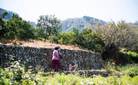 【一棟貸し】 田舎のお宿もらいもん 【宿泊クーポン券】