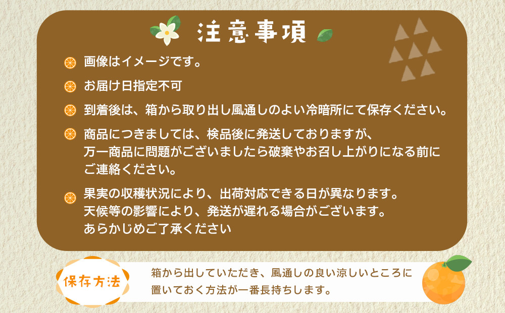 産地直送 贈答用 有田みかん Mサイズ 約10kg 喜楽farms 【2025年11月以降順次発送】