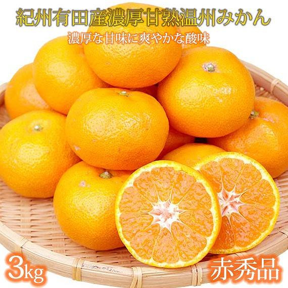 【8・9・12月 全3回】紀州産 巨峰とフルーツ定期便B（巨峰・梨・みかん） 【魚鶴商店】