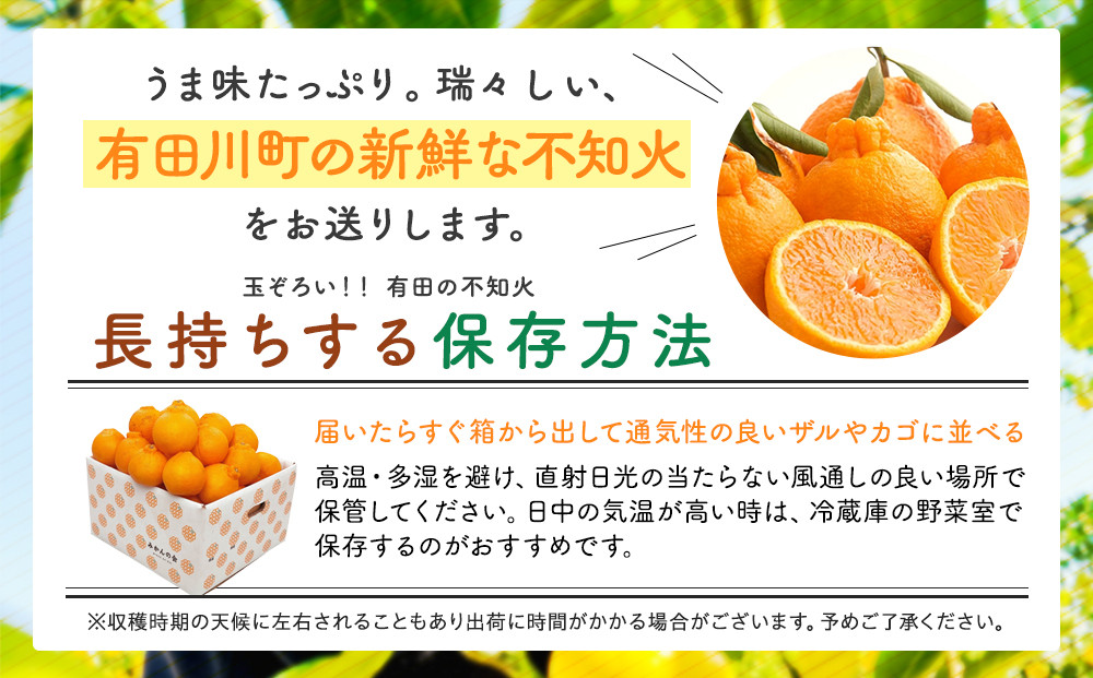 不知火 (しらぬい) 秀品 玉ぞろい 箱込 5kg (内容量約4.4kg)  和歌山県産 産地直送［みかんの会］