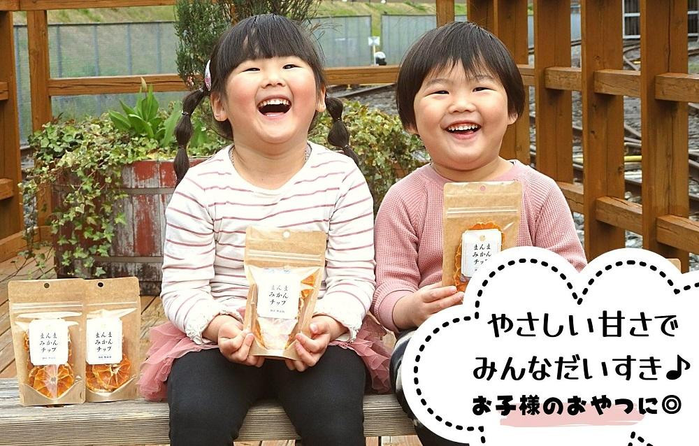 ドライフルーツ みかんチップ 100g ( 20g × 5袋 ) 和歌山県産 果物使用 自社製造 【みかんの会】
