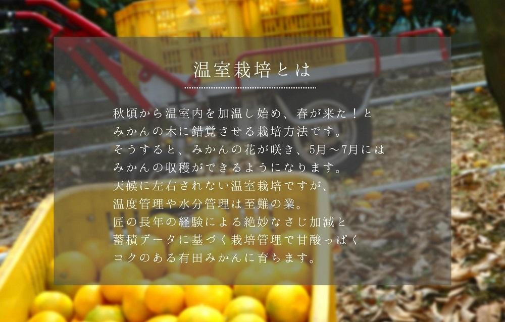 夏の有田みかん (約1kg) と有田のみかんジュース（500ml×2本）和歌山県産 産地直送