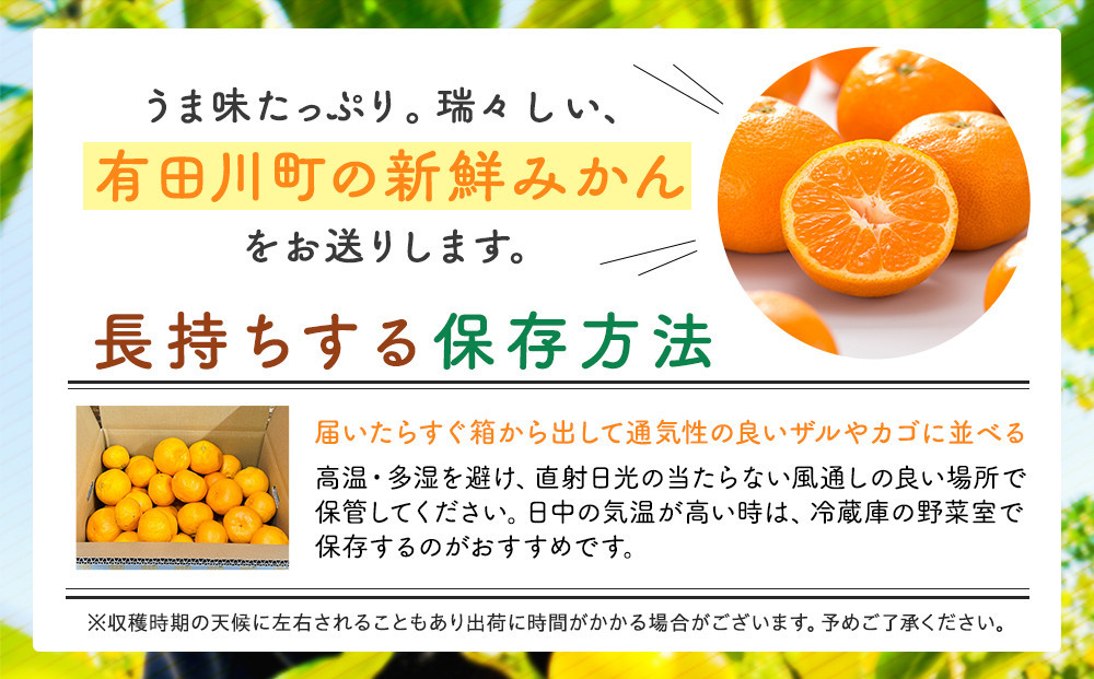 訳あり それでも 有田みかん 箱込 10kg (内容量約 9.2kg)  サイズミックス B品 有田みかん 和歌山県産 産地直送 家庭用［2025年11月中旬より2026年1月中旬頃順次出荷予定］［みかんの会］