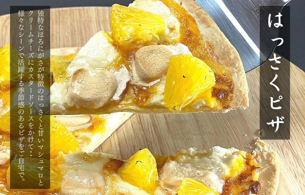 八朔 (はっさく) とにかく 大玉 どっこいしょ 箱込 10kg (内容量約 9.2kg) 秀品 優品 混合 2Lサイズ以上 和歌山県産  産地直送［おまけ付き］［みかんの会］